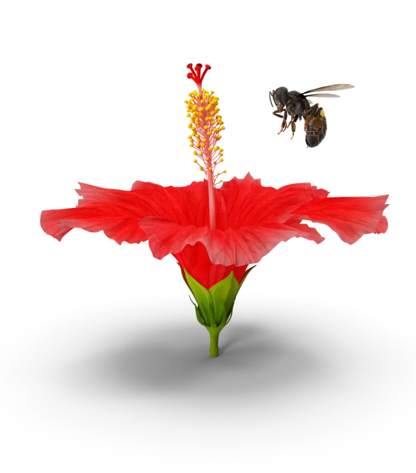 A bee approaching a flower as the Cross Pollination quickcard headerimage