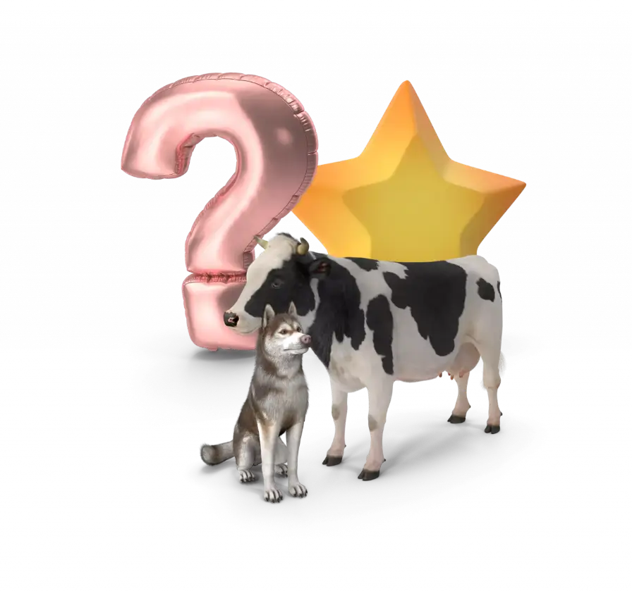 A dog, a cow, a question mark, and a star as the BCG Matrix quickcard header image