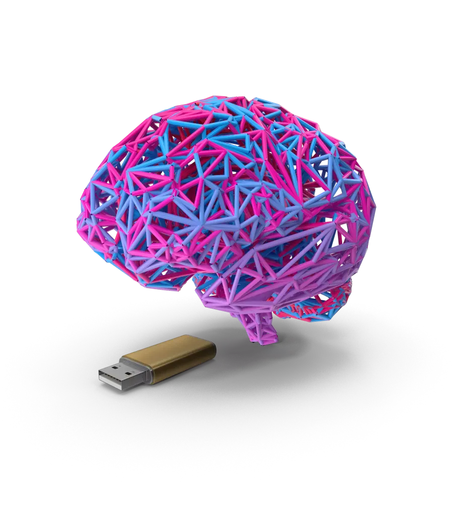 A wired brain and a USB flash drive as the Second Brain quickcard header image